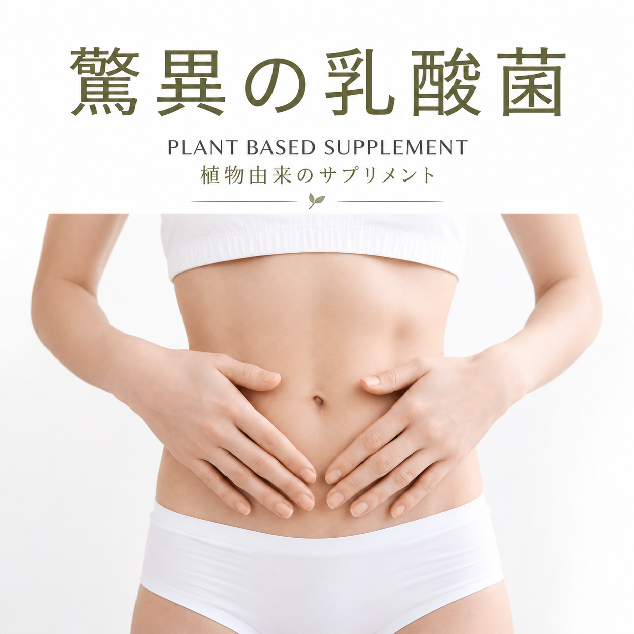 11-1乳酸菌