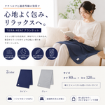 テラヘルツブランケット